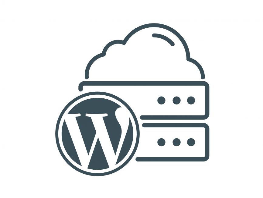 Profesyonel Bir WordPress Teması Nasıl Seçilir